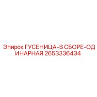 2653336434 ГУСЕНИЦА-В СБОРЕ-ОДИНАРНАЯ Epiroc