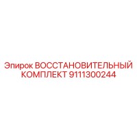 ВОССТАНОВИТЕЛЬНЫЙ КОМПЛЕКТ 9111300244 Epiroc