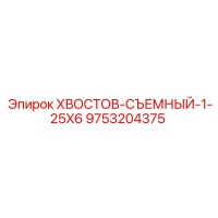 9753204375 ХВОСТОВ-СЪЕМНЫЙ-1-25X6 Epiroc