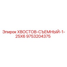 9753204375 ХВОСТОВ-СЪЕМНЫЙ-1-25X6 Epiroc
