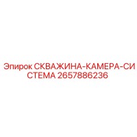 2657886236 СКВАЖИНА-КАМЕРА-СИСТЕМА - Epiroc
