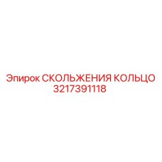 3217391118 СКОЛЬЖЕНИЯ КОЛЬЦО Epiroc