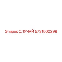 5731500299 СЛУЧАЙ Epiroc
