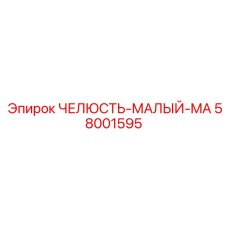 58001595 ЧЕЛЮСТЬ-МАЛЫЙ-MA Epiroc