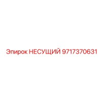 9717370631 НЕСУЩИЙ Epiroc