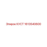 1613540600 КУСТ Эпирок