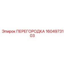 1604973103 ПЕРЕГОРОДКА Эпирок