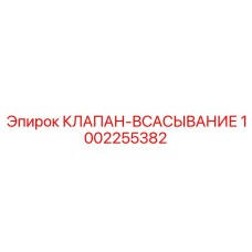 1002255382 КЛАПАН-ВСАСЫВАНИЕ Epiroc