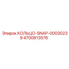 4700813576 КОЛЬЦО-SNAP-00030239 Epiroc