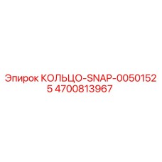 4700813967 КОЛЬЦО-SNAP-00501525 Epiroc