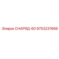 9753231666 СНАРЯД-60 Epiroc