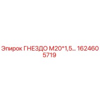 1624605719 ГНЕЗДО М20*1,5… Epiroc