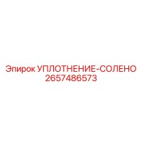 2657486573 УПЛОТНЕНИЕ-СОЛЕНО Epiroc