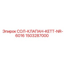1503287000 СОЛ-КЛАПАН-KETT-NR-6016 | Epiroc