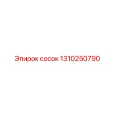 1310250790 сосок от Epiroc