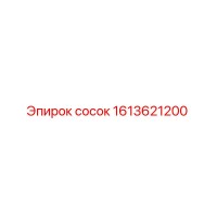 1613621200 сосок Epiroc