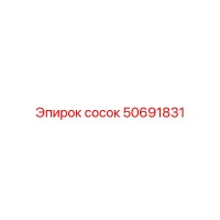 50691831 Сосок Epiroc