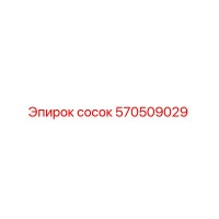 570509029 Сосок Epiroc
