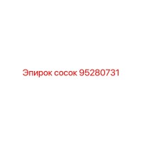 95280731 СОСОК - Epiroc