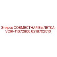 6218702510 СОВМЕСТНАЯ ВЫЛЕТКА-VOIR-11672800 Epiroc