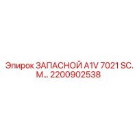 2200902538 ЗАПАСНОЙ A1V 7021 SC.M Эпирок