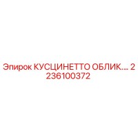2236100372 КУСЦИНЕТТО ОБЛИК.… Epiroc