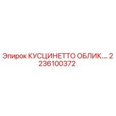 2236100372 КУСЦИНЕТТО ОБЛИК.… Epiroc