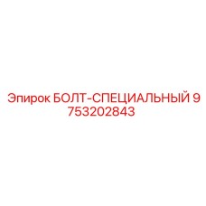 9753202843 БОЛТ-СПЕЦИАЛЬНЫЙ Epiroc