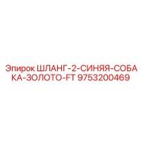 9753200469 ШЛАНГ-2-СИНЯЯ-СОБАКА-ЗОЛОТО-FT Epiroc