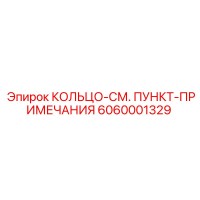 6060001329 КОЛЬЦО-СМ. ПУНКТ-ПРИМЕЧАНИЯ Epiroc