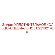 6231621700 УПЛОТНИТЕЛЬНОЕ КОЛЬЦО-СПЕЦИАЛЬНОЕ Epiroc
