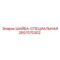 2657070302 ШАЙБА-СПЕЦИАЛЬНАЯ Epiroc