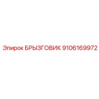 9106169972 БРЫЗГОВИК Epiroc