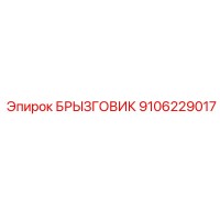 9106229017 БРЫЗГОВИК Epiroc