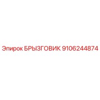 БРЫЗГОВИК 9106244874 Эпирок