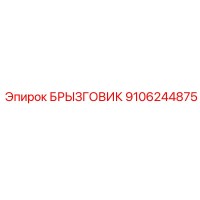 БРЫЗГОВИК 9106244875 Эпирок