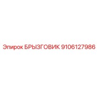 9106127986 БРЫЗГОВИК Epiroc