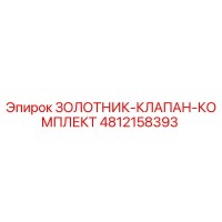 4812158393 ЗОЛОТНИК-КЛАПАН-КОМПЛЕКТ Epiroc