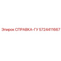 5724411667 СПРАВКА-ГУ Эпирок