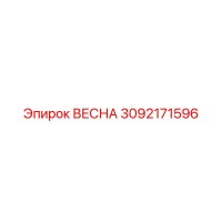 3092171596 ВЕСНА Epiroc