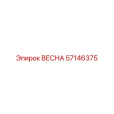 57146375 ВЕСНА Epiroc