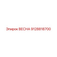 9128818700 ВЕСНА Epiroc