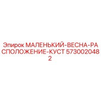 5730020482 МАЛЕНЬКИЙ-ВЕСНА-РАСПОЛОЖЕНИЕ-КУСТ Epiroc