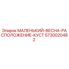 5730020482 МАЛЕНЬКИЙ-ВЕСНА-РАСПОЛОЖЕНИЕ-КУСТ Epiroc