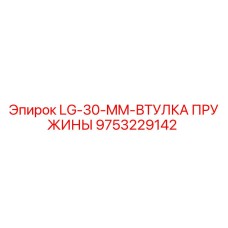 9753229142 LG-30-MM-ВТУЛКА ПРУЖИНЫ Epiroc