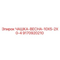 9170920210 ЧАШКА-ВЕСНА-10X5-2X0-4 Epiroc