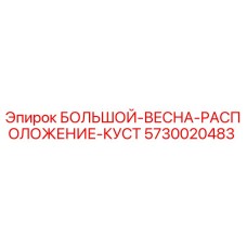 5730020483 БОЛЬШОЙ-ВЕСНА-РАСПОЛОЖЕНИЕ-КУСТ Epiroc