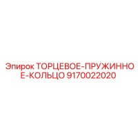 9170022020 ТОРЦЕВОЕ-ПРУЖИННОЕ-КОЛЬЦО Epiroc