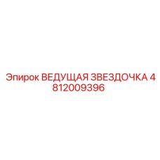 4812009396 ВЕДУЩАЯ ЗВЕЗДОЧКА Epiroc