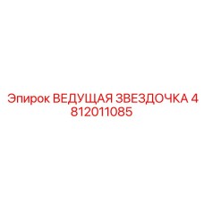 4812011085 ВЕДУЩАЯ ЗВЕЗДОЧКА Epiroc